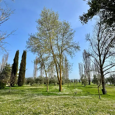 Podere Raffaello Montepulciano